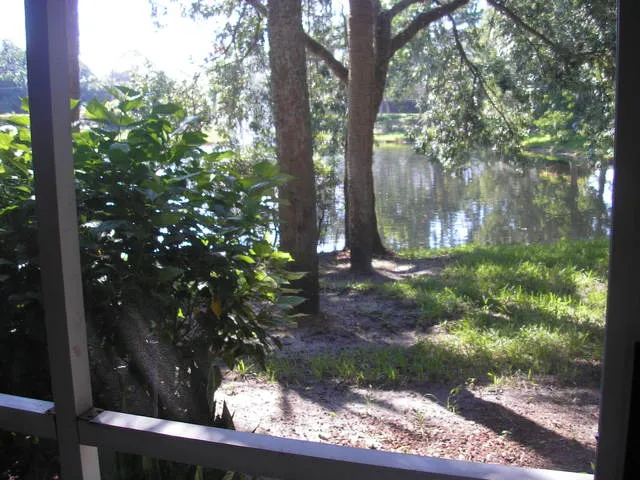 View from living room, kitchen and master bedroom