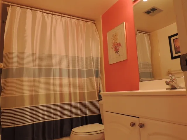 Guest bathroom has a tub shower combo