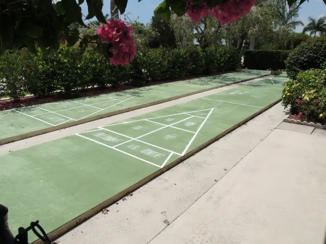 Shuffle board  surrounded by lush foliage 