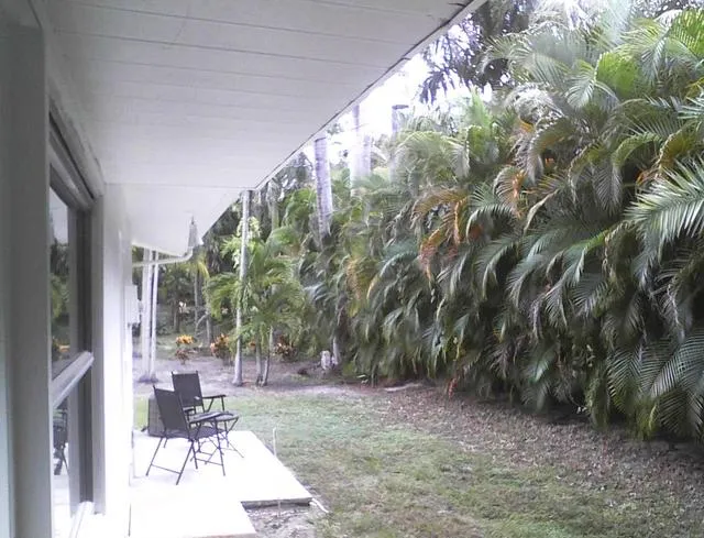 Back of guest cottage. Private, and tropical.