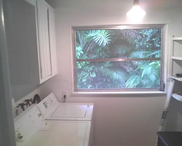 Laundry room with a tropical view.