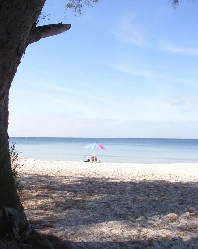 Wiggins Park Beach