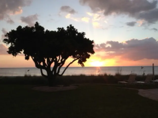 View at sunset