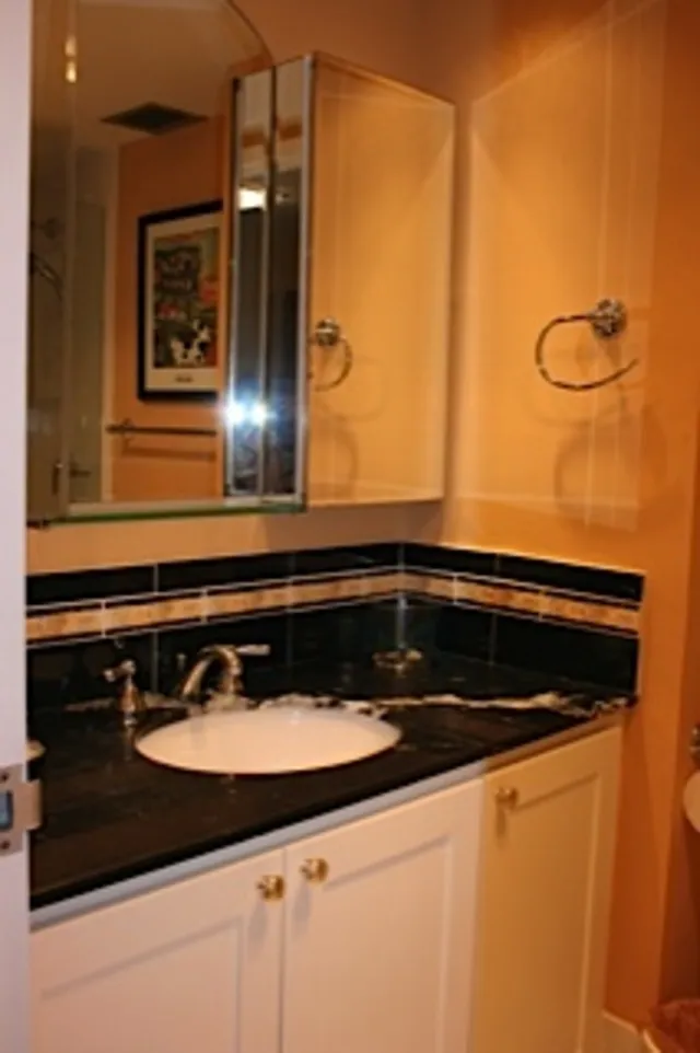 Guest bathroom