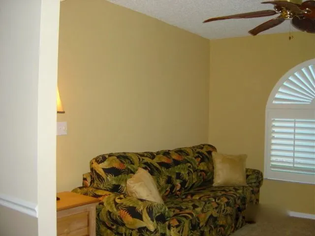 Pull out couch in den