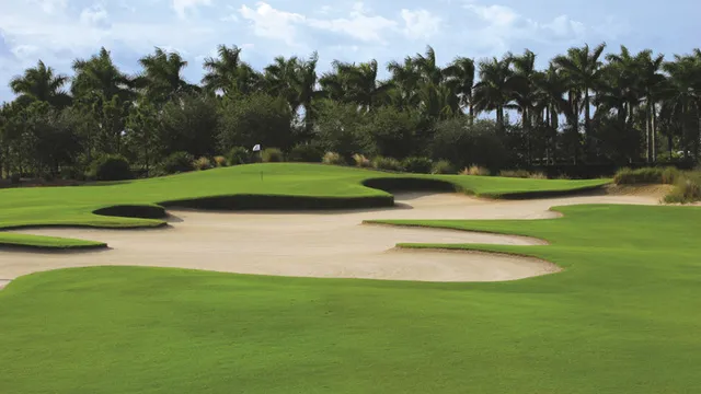 17th green (Gold Course)