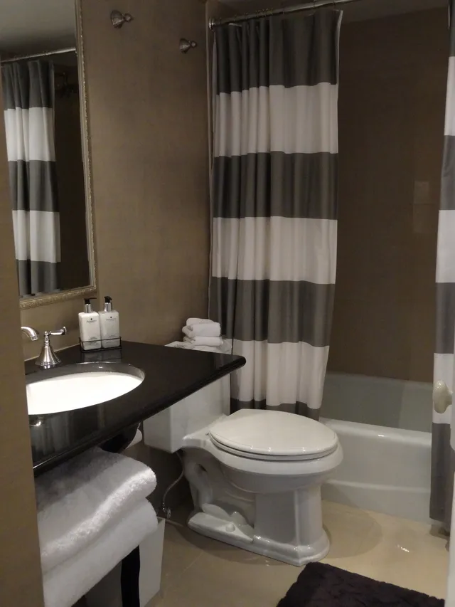 Guest bathroom