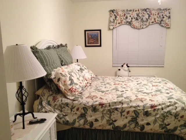 Master Bedroom with walk-in closet