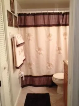 Second/guest bathroom