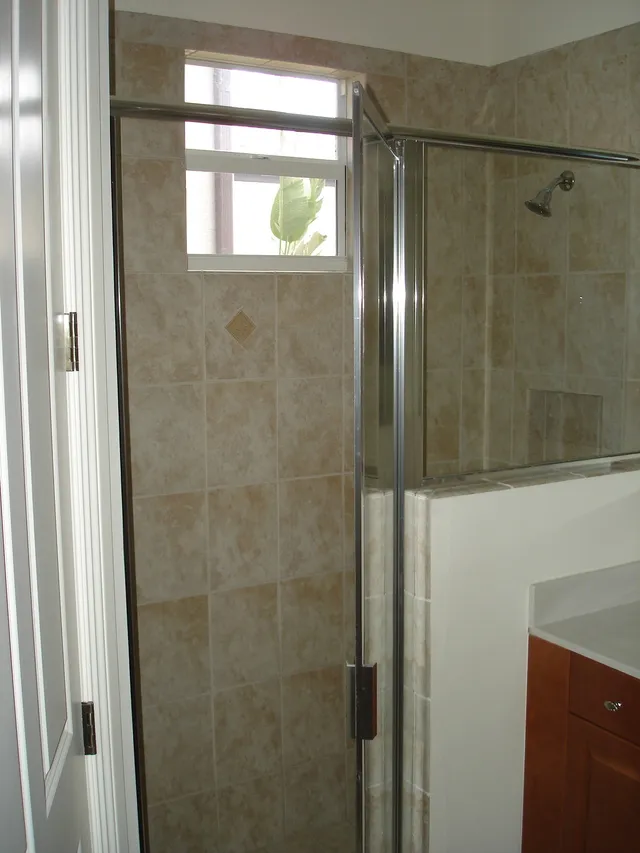 Master Bathroom Shower