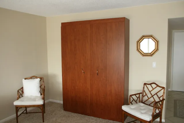 Murphy Bed sleeps 2