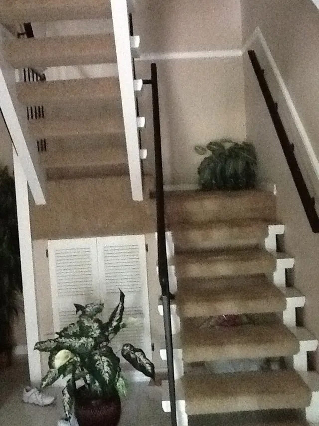 Bonita Springs Property photo 1