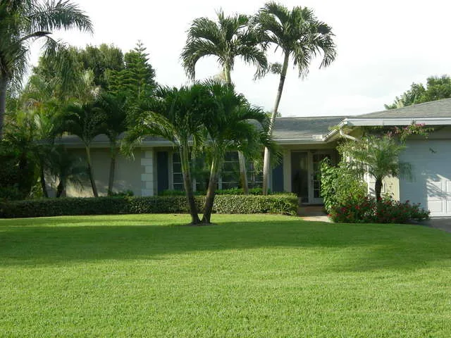 Large tropical lot