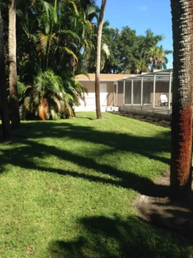 Private back yard
