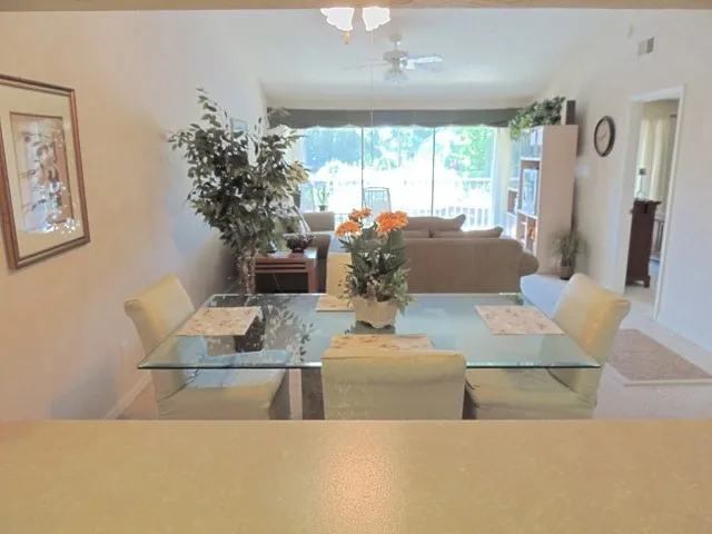 View from Kitchen