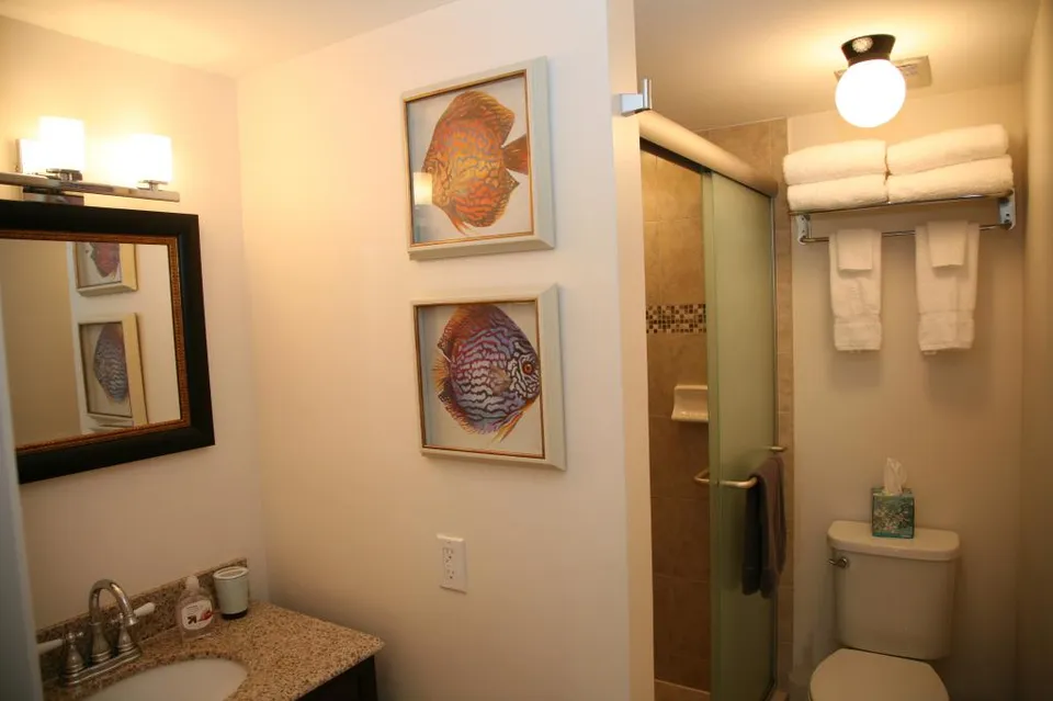 Newly renovated Master Bath