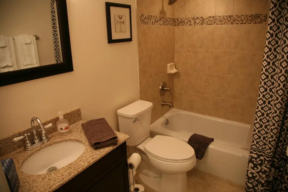 Newly renovated Guest Bath