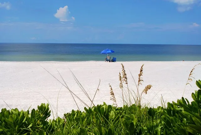 Beautiful Naples on the Gulf
