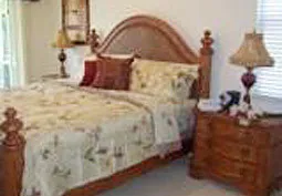 3 Bedroom 2 Bath Pool Home in Briarwood photo 7