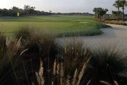 Copperleaf @ The Brooks home - w/Golf photo 3
