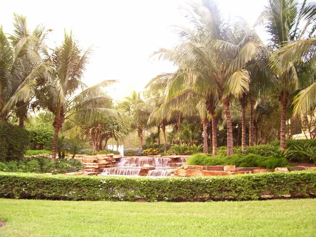 Grounds of the Complex