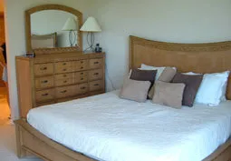 Master suite with private bath