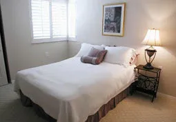 Queen bedroom with t.v.