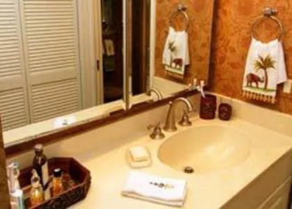 Portion of master bathing and shower anti room.
