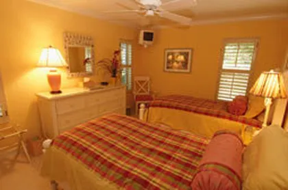 Brightly lighted guest room to accompany adults or children.