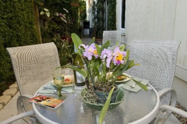 Centerpiece floral arrangement from patio plants.