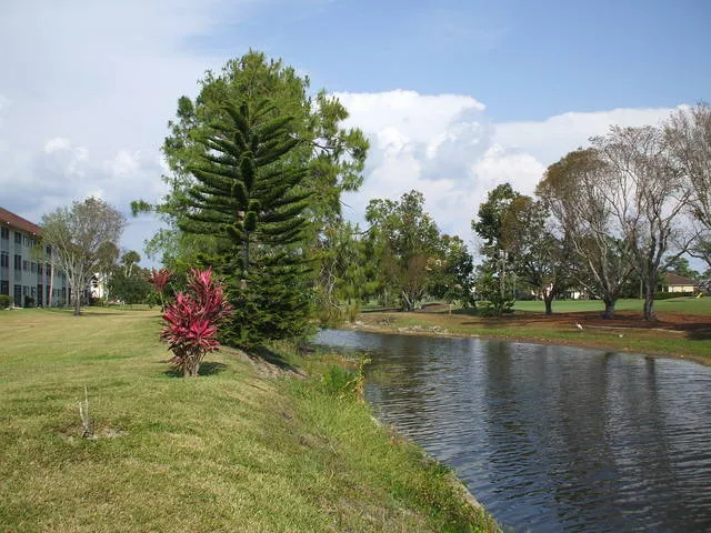 Beautiful Condo gardens