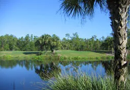 Golf with a Natural Swing at NHGCC photo 1