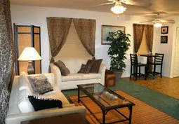 Backyard and privacy! photo 1