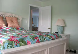 3 bedroom, 3 Bathroom + den.  in Old Naples photo 10