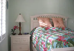 3 bedroom, 3 Bathroom + den.  in Old Naples photo 11