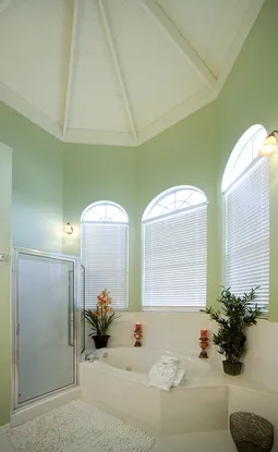 Vaulted ceiling Master Bath with jetted tub, shower and double sink.