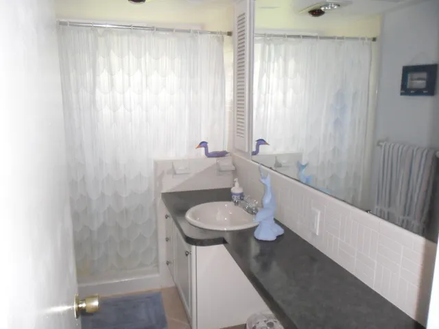 Guest Bathroom with shower