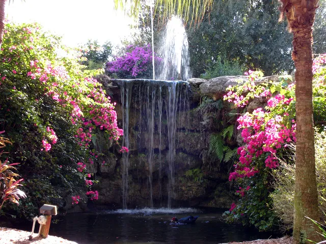 Beautiful Naples Park Shore Resort photo 4