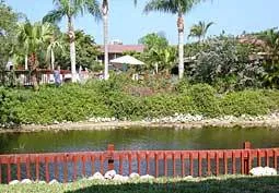 Beautiful Naples Park Shore Resort photo 6