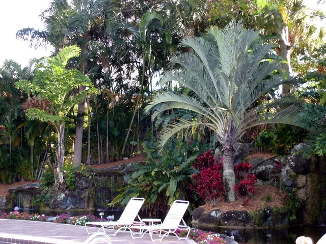 Beautiful Naples Park Shore Resort photo 7