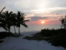 Royal Harbor, Waterfront, Downtown Naples photo 5