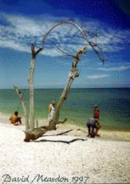 Royal Harbor, Waterfront, Downtown Naples photo 10
