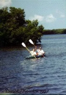 Royal Harbor, Waterfront, Downtown Naples photo 11
