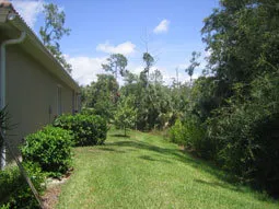 Beautiful Delasol in North Naples photo 3