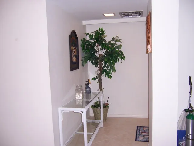Unit enterance/foyer
