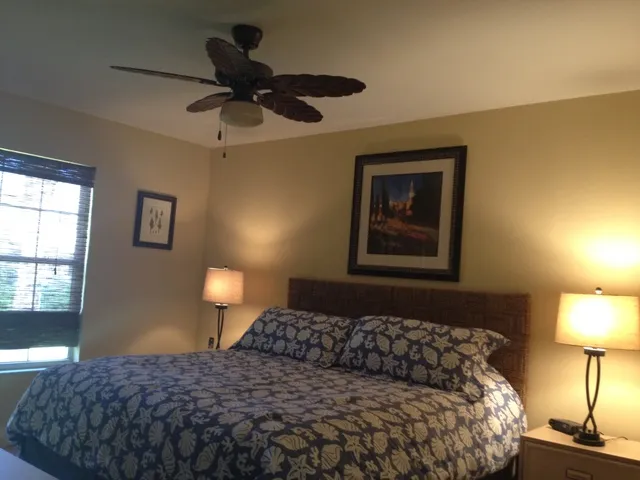 Master Bedroom with King size bed, walk in closet.
