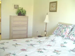 Naples Resort Condo photo 7