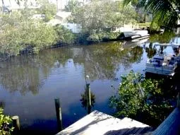 Naples Waterfront - Hardwood/Granite Kitchen/Dock photo 8