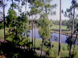 Naples Country Club Lifestyle photo 4