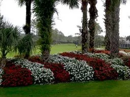 Naples Country Club Lifestyle photo 8